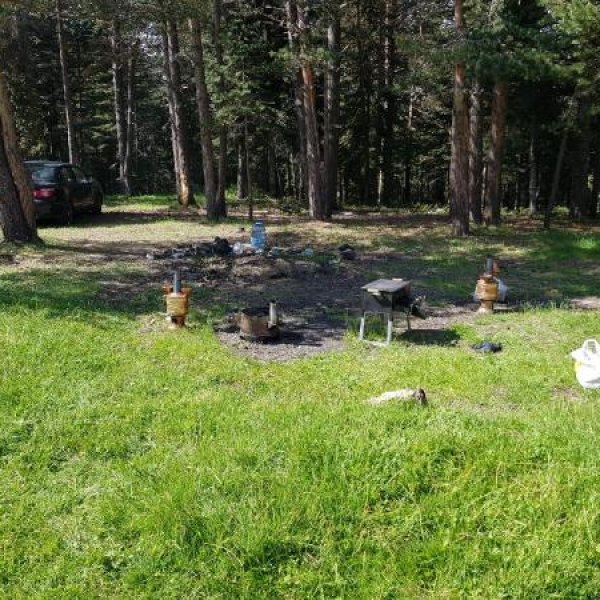 Çorum'da piknik yapan aileye yıldırım isabet etti