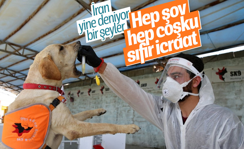 İran'da köpekler koronavirüsü teşhis etmek için eğitildi
