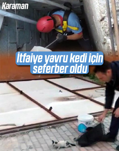 Havalandırma boşluğuna düşen yavru kedi kurtarıldı