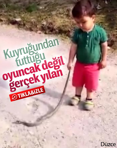 Düzce'de 3 yaşındaki çocuk yılanla oynadı