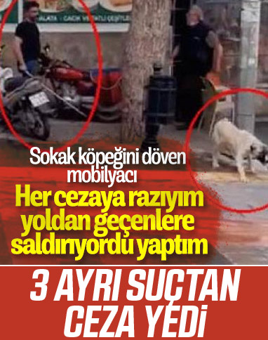 Manisa'da sokak köpeğini fırça sapıyla dövdü