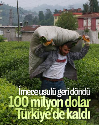 Gürcistan'dan çay işçisi gelmeyince para yurtta kaldı