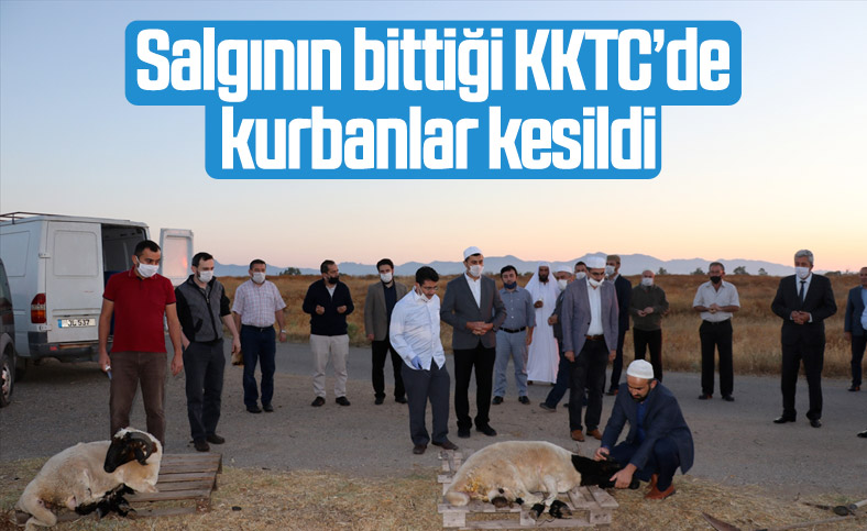 KKTC'de koronavirüs sonrası şükür kurbanı kesildi
