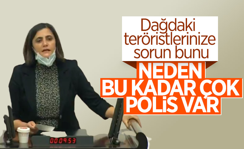 HDP, polis sayısından şikayetçi