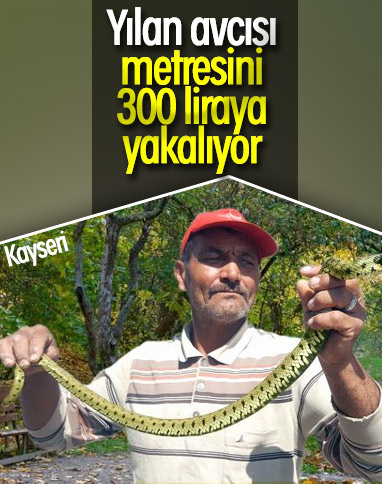 Kayseri'nin yılan avcısı metre hesabı çalışıyor