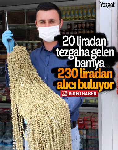 Kurutulunca kilosu 20 TL’den 230 TL’ye çıkıyor