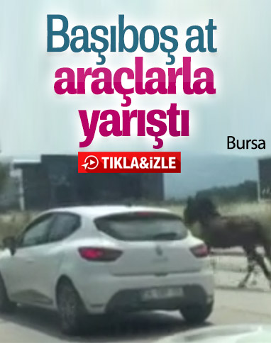 Bursa trafiğindeki at kameraya yansıdı
