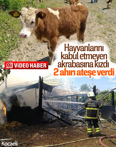 Kocaeli'de akrabasına kızan kişi, ahırları ateşe verdi