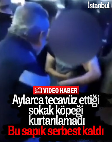 İstanbul’da sokak köpeğine tecavüz etti