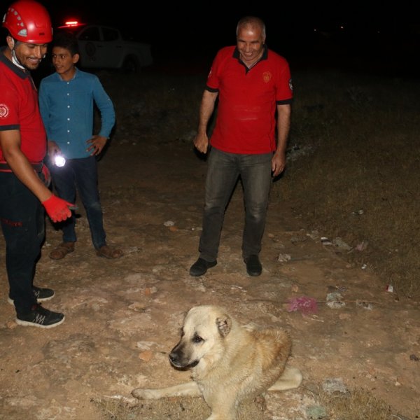 10 metrelik kuyuya düşen iki köpeği itfaiye kurtardı