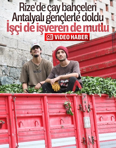 Rizeliler, Antalyalı genç çay işçilerini sevdi