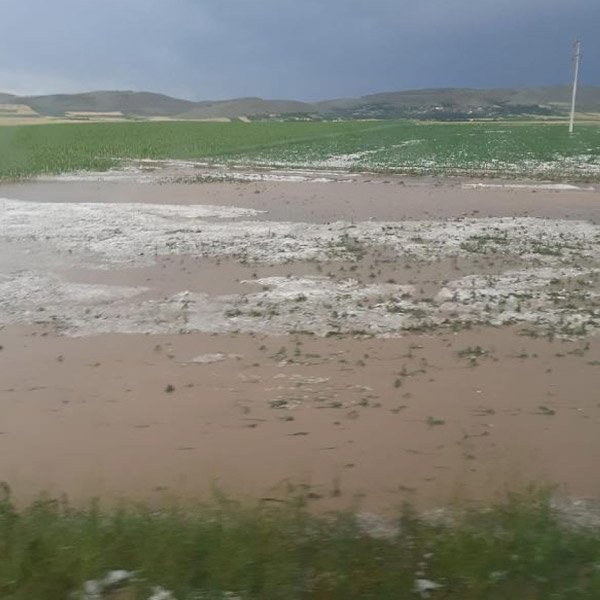 Tokat'ta dolu yağışı, tarım arazilerini mahvetti