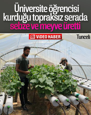 Tunceli'de tatili fırsat bildi, topraksız tarım yaptı