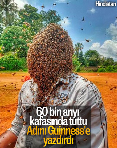 Hindistanlı arıcı, 60 bin arıyı kafasında tuttu