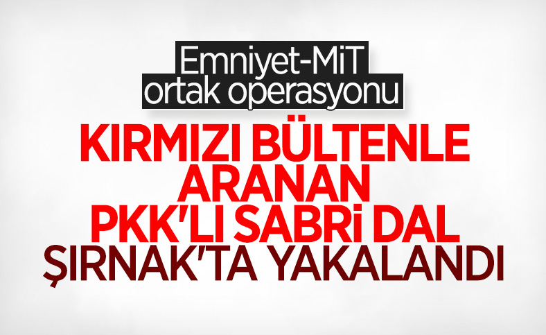 PKK'lı Sabri Dal yakalandı