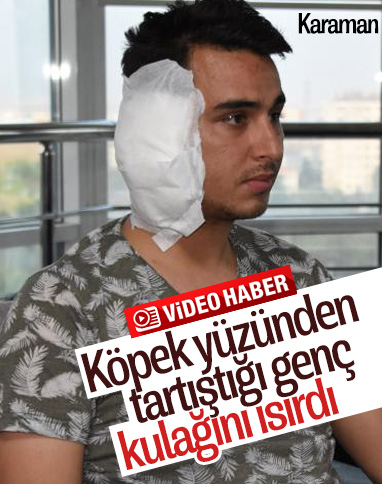 Köpek kavgasında postacının kulağı ısırıldı