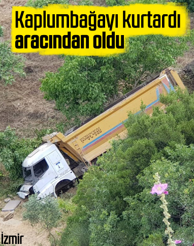 İzmir'de kaplumbağayı kurtardı, aracı uçuruma yuvarlandı