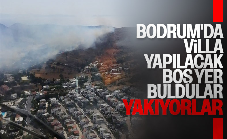 Bodrum'da makilik alandaki yangın söndürüldü