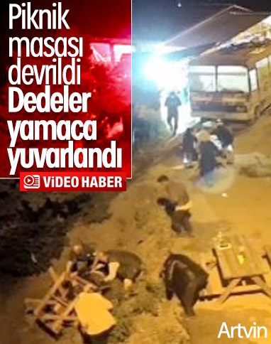 Artvin'de piknik masası devrilince yamaca yuvarlandılar