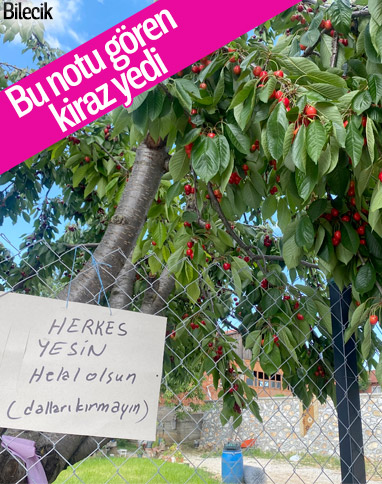 Bilecik'te ağacın altına bıraktığı not görenleri şaşırttı