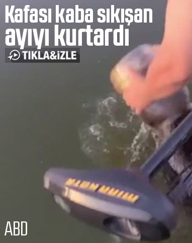 ABD'de kafası plastik kaba sıkışan ayının kurtarılma anı