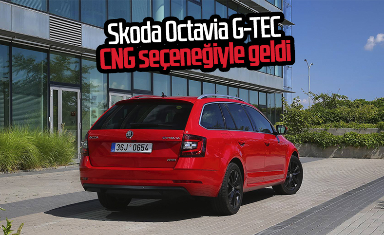 Skoda 2020 Octavia G-TEC tanıtıldı