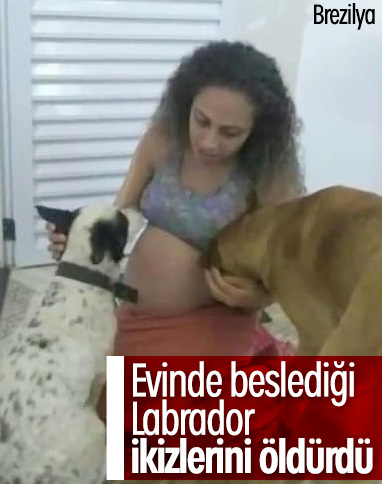 Brezilya’da ikiz bebekler köpek saldırısında öldü