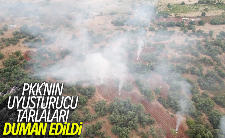 Diyarbakır'da 14 gün içinde 3 ton esrar ele geçirildi