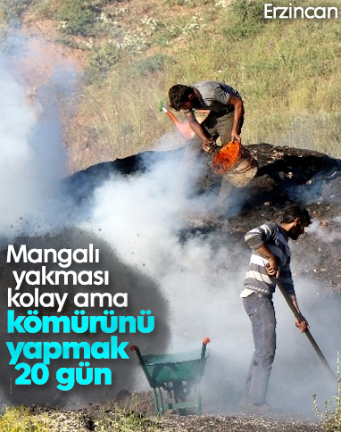 Erzincan'da işçilerin zorlu mangal kömürü yapımı