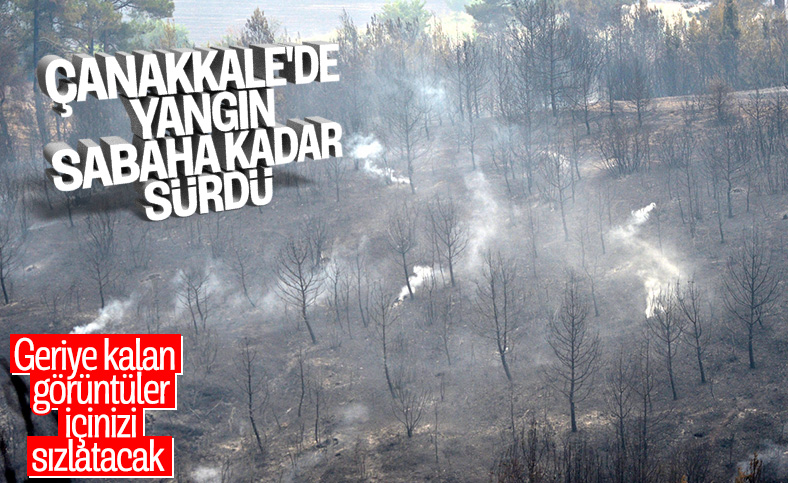 Çanakkale'deki orman yangınında son durum