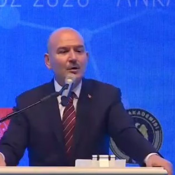 Jandarma 15 günde 32 milyon kök kenevir ele geçirdi