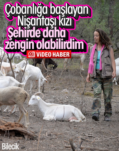 Bilecik'e yerleşen Nişantaşı kızı, sürüsünü büyüttü