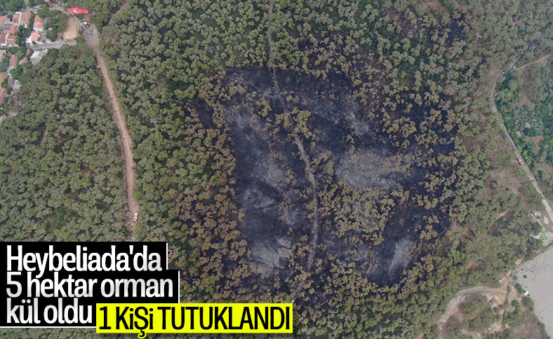 Heybeliada soruşturmasında 1 kişi tutuklandı