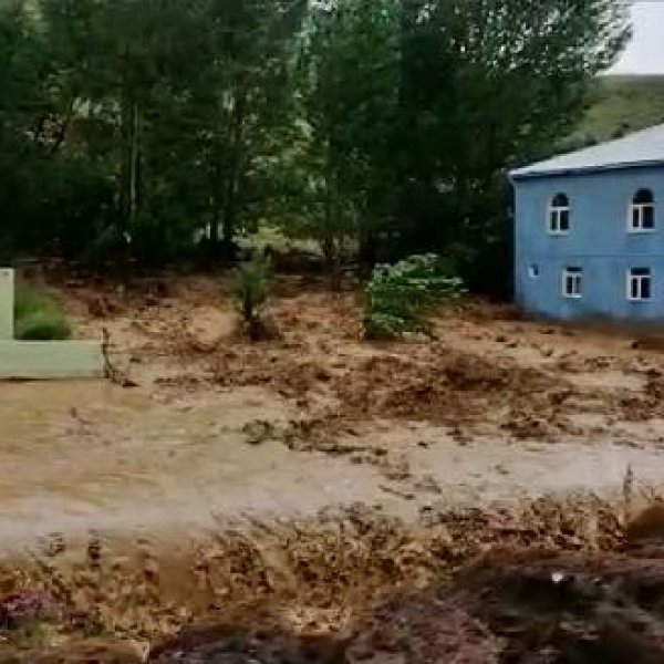 Bingöl'de sel ev ve ekili alanlara zarar verdi