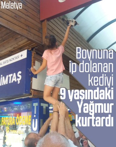 Malatya'da boynuna ip dolanan kedi kurtarıldı
