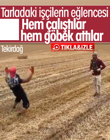 Tekirdağ'da tarlada çalışanlar müzik eşliğinde göbek attı