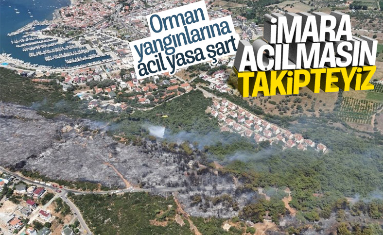İzmir'de orman yangını