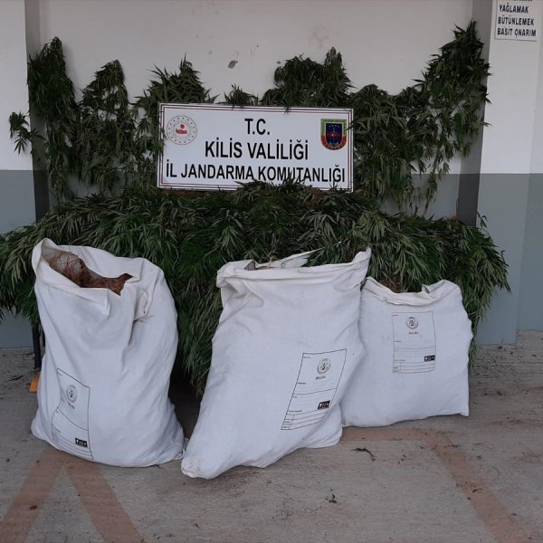 Kilis'te 43,2 kilogram esrar ele geçirildi