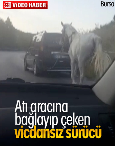 Bursa'da atı araca bağlayıp çekti