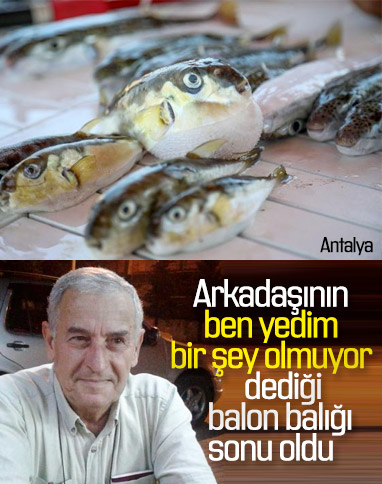 Antalya'da balon balığı yiyen yaşlı adam öldü