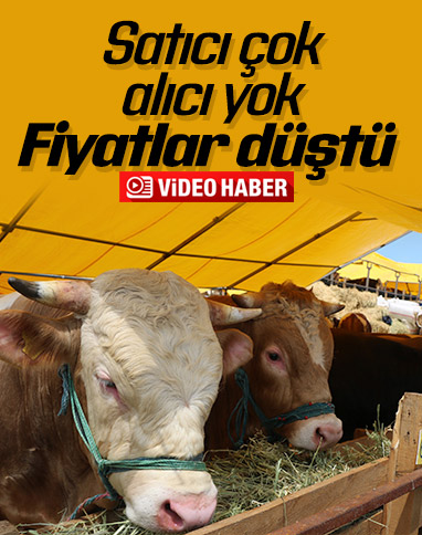 Salgın kurban satışlarını olumsuz etkiledi