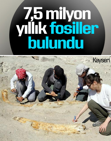 Kayseri'de 7,5 milyon yıllık iki fosil daha bulundu
