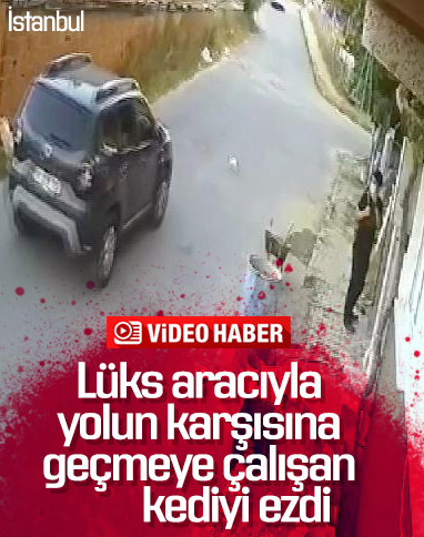 Arnavutköy'de lüks aracıyla kediyi ezdi