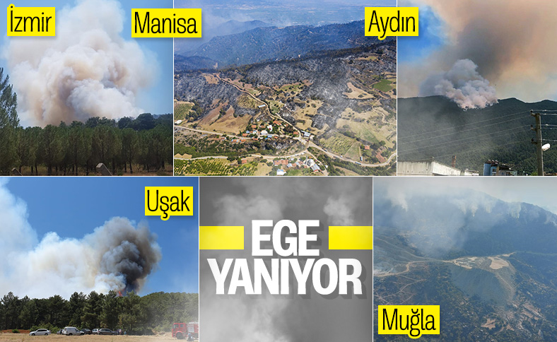 Ege ormanları alevlere teslim oldu
