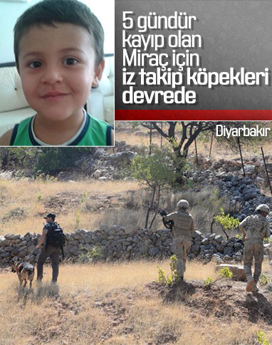 Miraç Çiçek, 5'inci günde iz takip köpekleriyle aranıyor