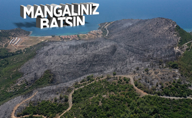 İzmir'deki orman yangınından geriye kalan