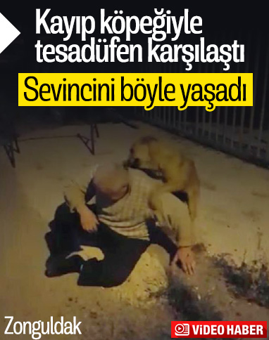 Zonguldak'ta kayıp köpeğiyle 3 ay sonra kavuştu