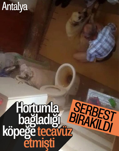Antalya'da köpeğe tecavüz eden adam, serbest bırakıldı