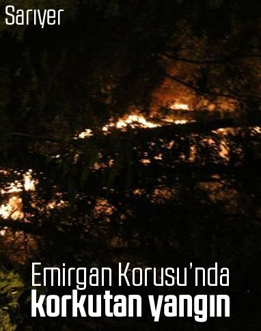 Emirgan Korusu'nda yangın çıktı