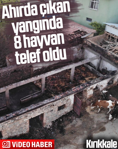 Kırıkkale'de ahırda çıkan yangında 8 hayvan telef oldu
